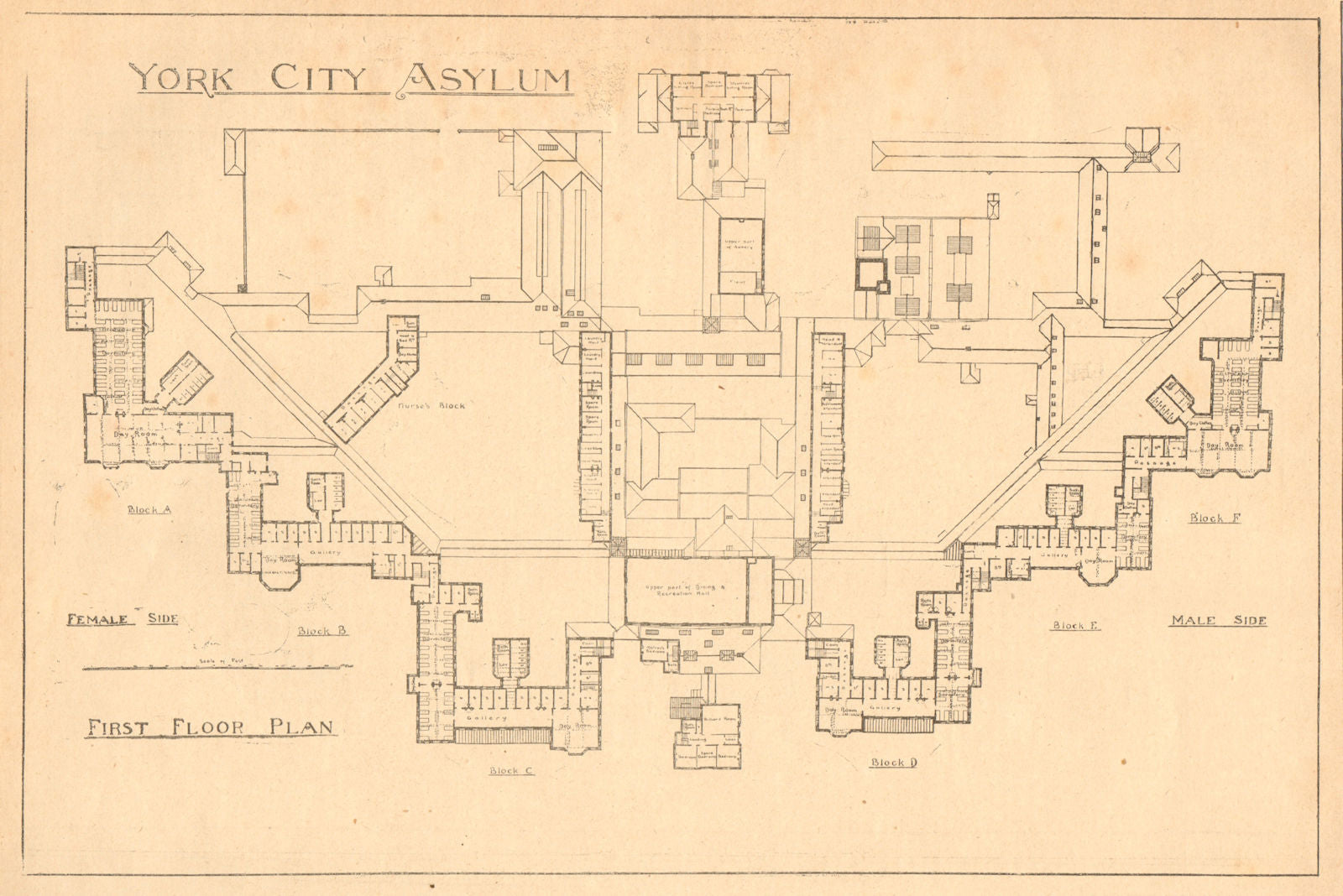 York City Asylum. First floor plan. Yorkshire 1903 old antique print picture